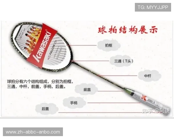 羽毛球结构介绍 羽毛球结构介绍
