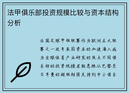 法甲俱乐部投资规模比较与资本结构分析